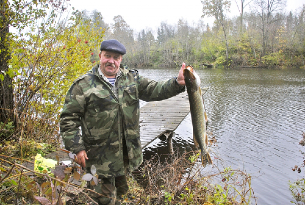 Ceraukstietis Jānis Barans ar smago līdaku. Viņš ne tikai makšķerē Bangu dīķī, bet arī , darbojoties Bauskas mednieku un makšķernieku biedrībā, gādājis par tā apkārtnes labiekārtošanu.
Autors: Ivars Bogdanovs
