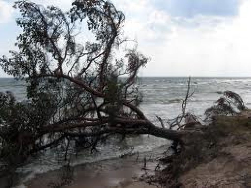 Fotoattēlam ilustratīva nozīme.