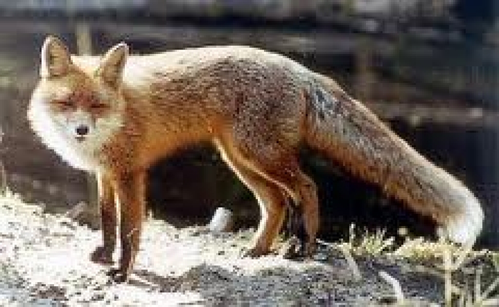 Fotoattēlam ilustratīva nozīme.