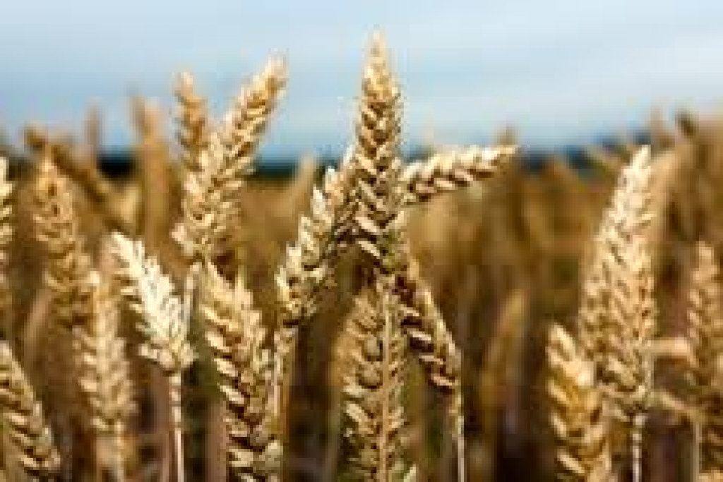 Fotoattēlam ilustratīva nozīme.