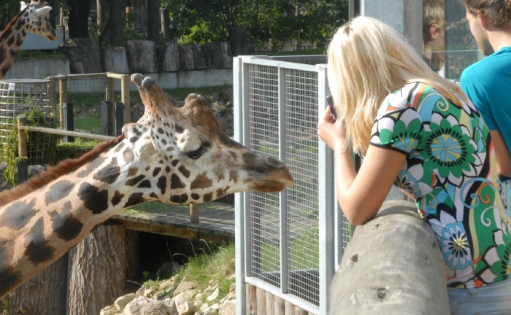 Fotoattēlam ilustratīva nozīme.
Autors: www.apollo.lv