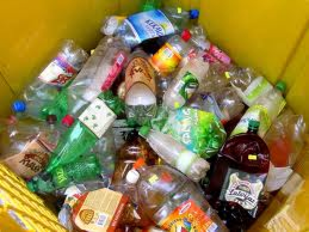 Autors: www.zalais.lv