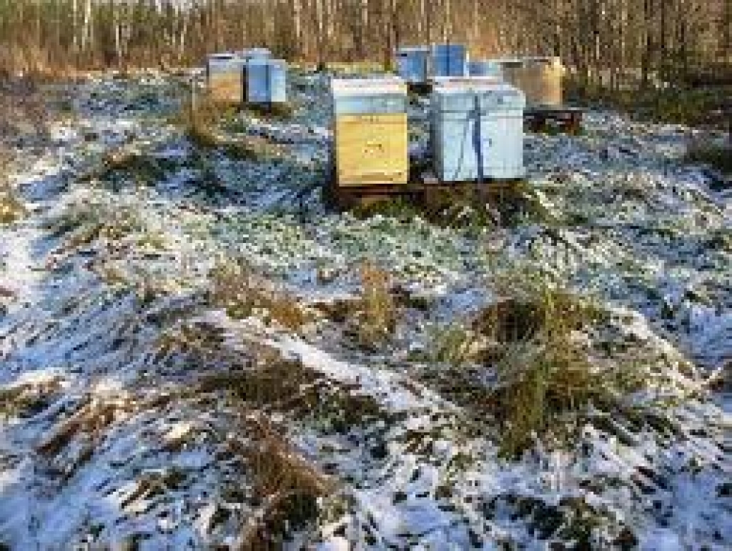 Fotoattēlam ilustratīva nozīme.
Autors: www.dravnieks.lv