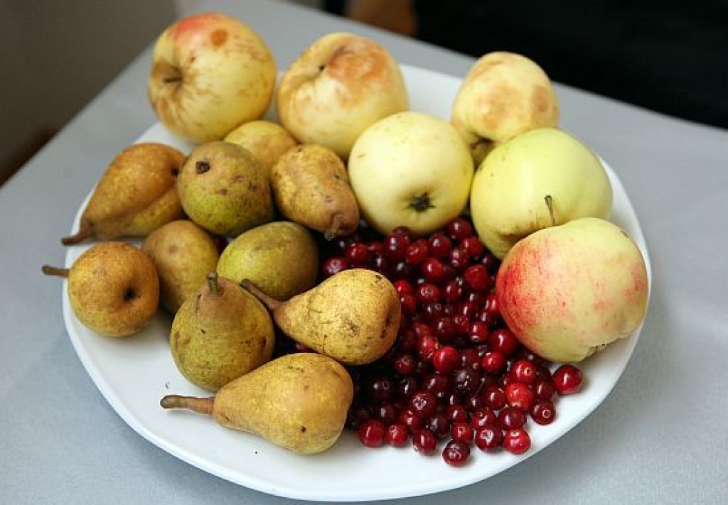 Autors: www.diena.lv