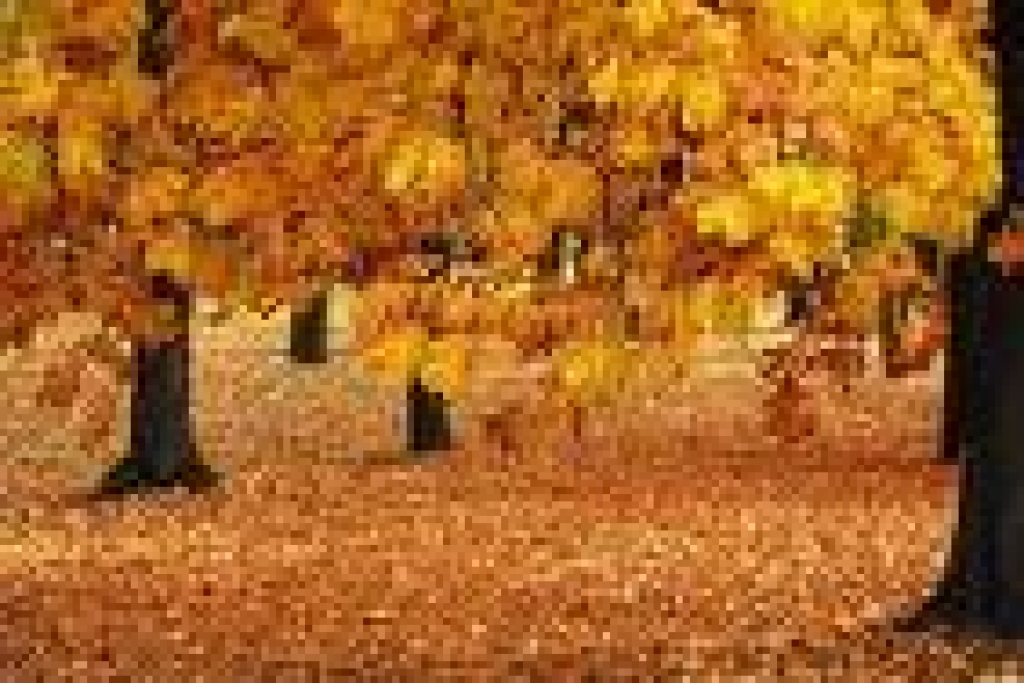 Fotoattēlam ilustratīva nozīme.