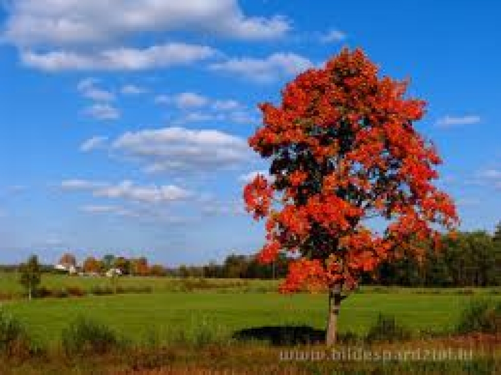 Fotoattēlam ilustratīva nozīme.