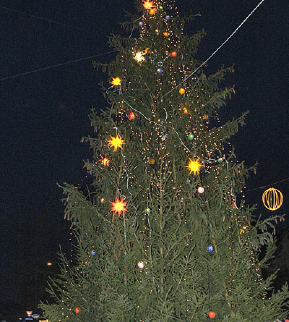 Tradicionāli egle dižojas pilsētas Rātslaukumā.
Autors: no «Bauskas Dzīves» arhīva