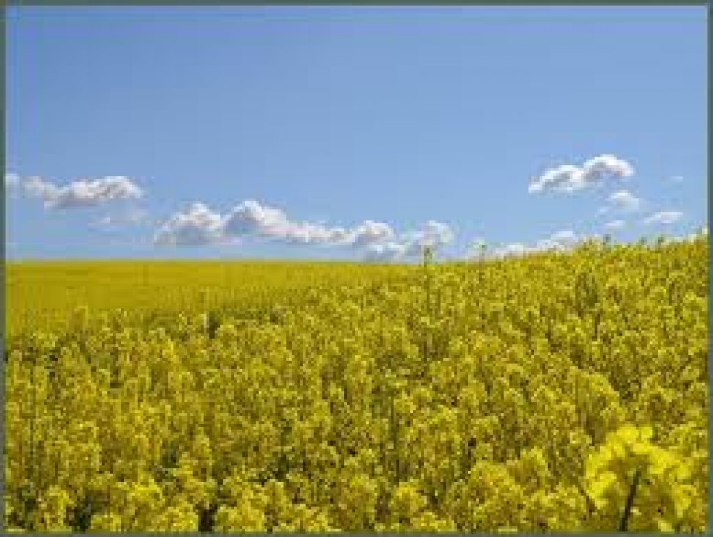 Fotoattēlam ilustratīva nozīme.
Autors: www.poga.lv