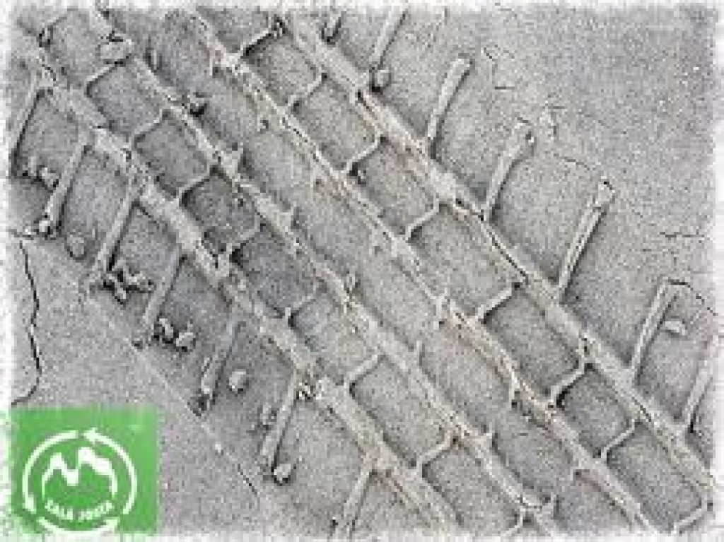 Autors: tirailatvijai.lv