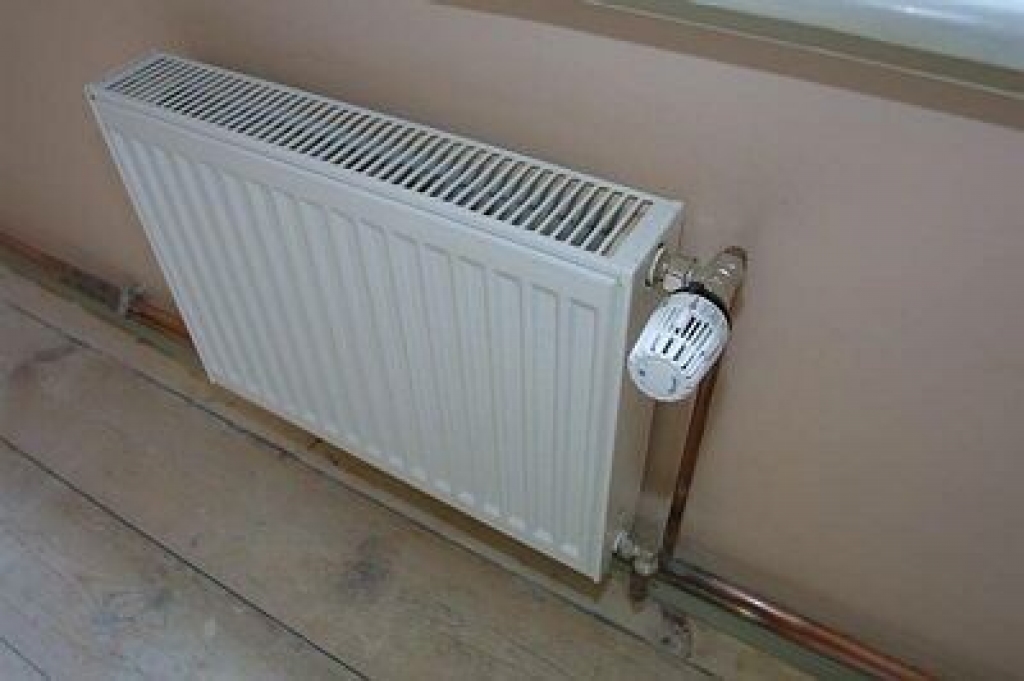 Autors: no «Bauskas Dzīves» arhīva.