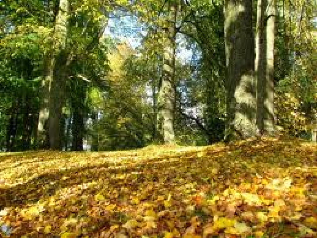 Fotoattēlam ilustratīva nozīme.
Autors: www.poga.lv