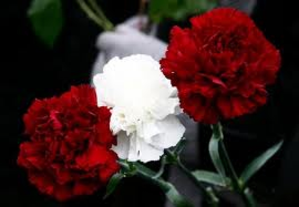 Fotoattēlam ilustratīva nozīme.