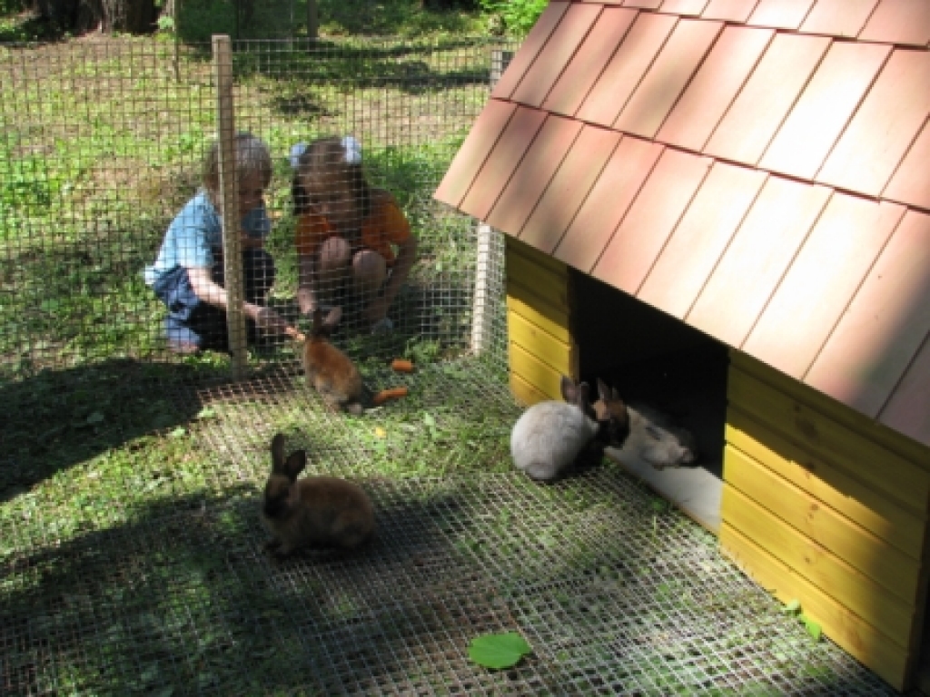 Pirmo reizi Zemgales ceļotāju visvairāk apmeklēto desmit objektu topā  ir iekļauta Vecumnieku Trušu pilsētiņa. 
Autors: no 