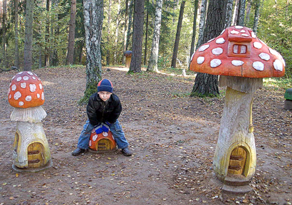 Niklāvs Puķāns, pastaigājoties Rūķīšu mežā, pirmais ieraudzīja košās mušmires – rūķīšu mājiņas, izrādās, uz vienas var arī apsēsties!