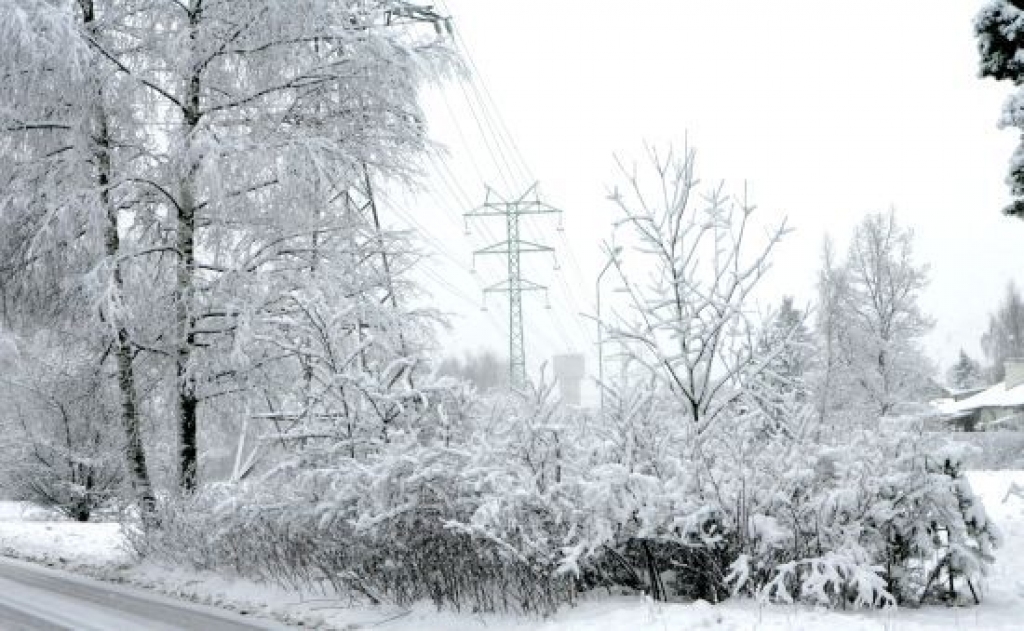 Fotoattēlam ilustratīva nozīme.
Autors: www.diena.lv