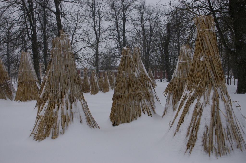 Autors: Ivars Bogdanovs