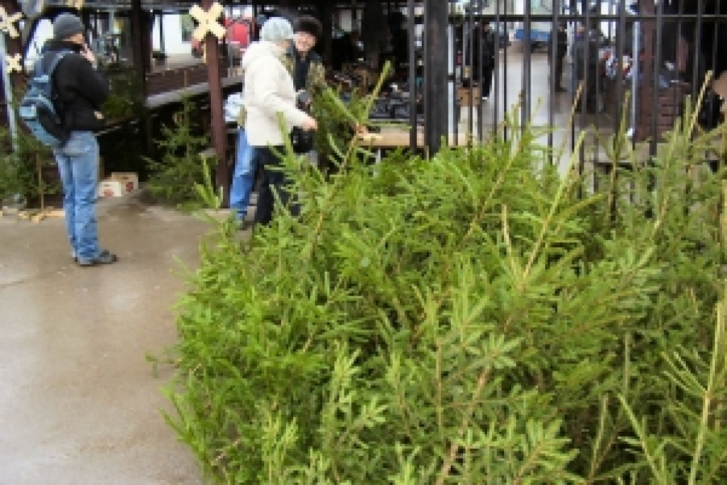 Autors: No «Bauskas Dzīves» arhīva.