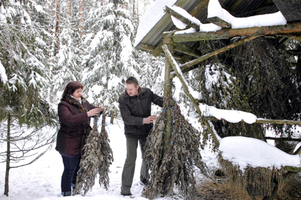 Sandija un Lauris Drevinski kārklu zaru slotiņas izkārto barotavā Skaistkalnes pusē.