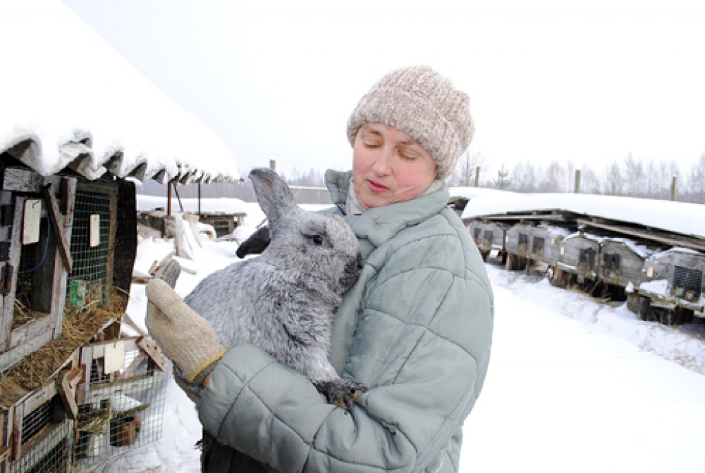 ALDA KADIĶE, raksturojot trušus, saka: «Ļoti ziņkārīgi dzīvnieki, kas rok dziļas alas. Nākamgad dziļi raksim!»