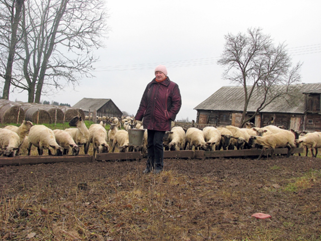 Valliete Inese Zvejniece no aitkopības atlicinājusi līdzekļus mājas sakārtošanai, jo pēc smaga darba, viņasprāt, laukos nepieciešami komfortabli apstākļi. 