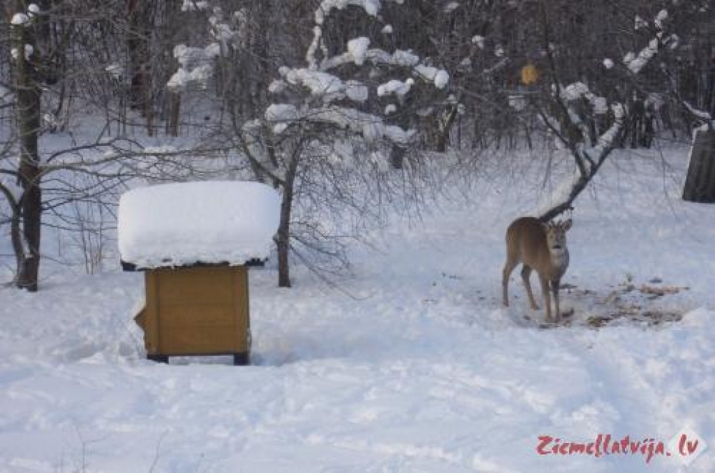 Fotoattēlam ilustratīva nozīme.