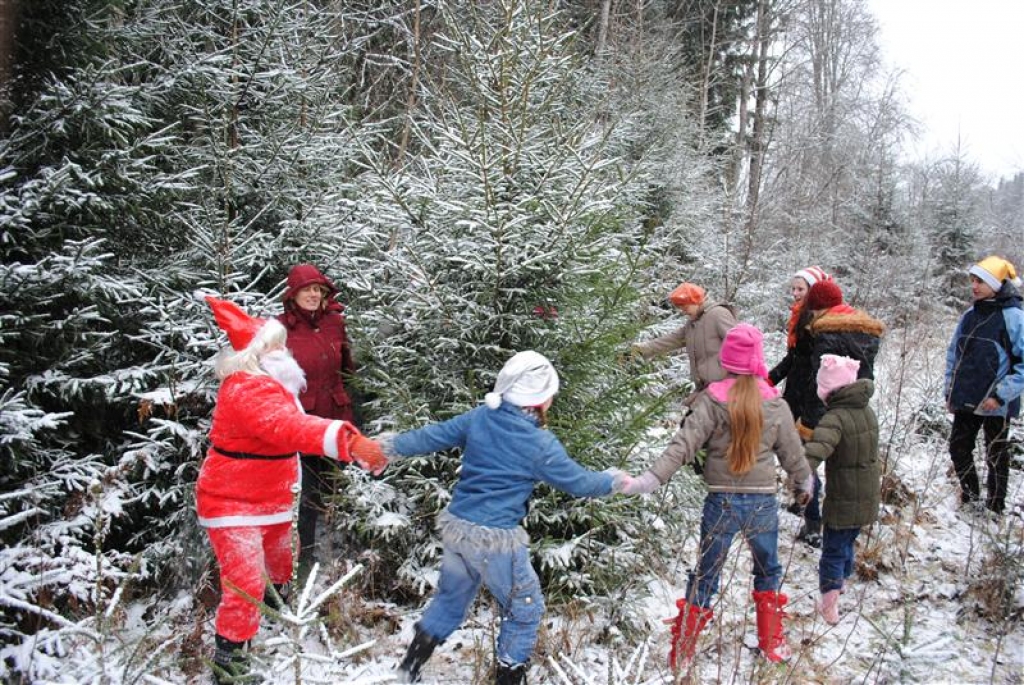 Fotoattēlam ilustratīva nozīme.
Autors: no albuma.