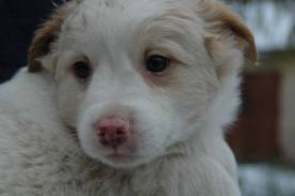 Fotoattēlam ilustratīva nozīme.