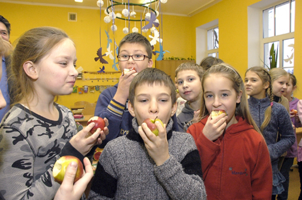 Bauskas pamatskolas 3. klases bērniem Talsu pusē augušie āboli garšo labi.