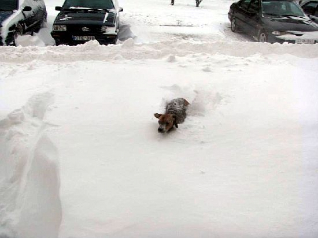 Fotoattēlam ilustratīva nozīme.
