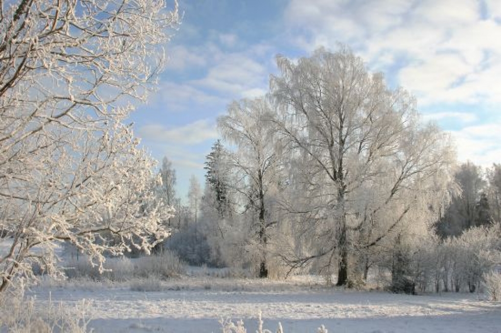 Fotoattēlam ilustratīva nozīme.