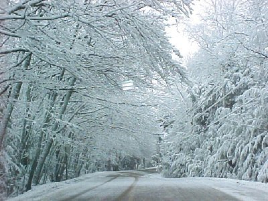 Fotoattēlam ilustratīva nozīme.