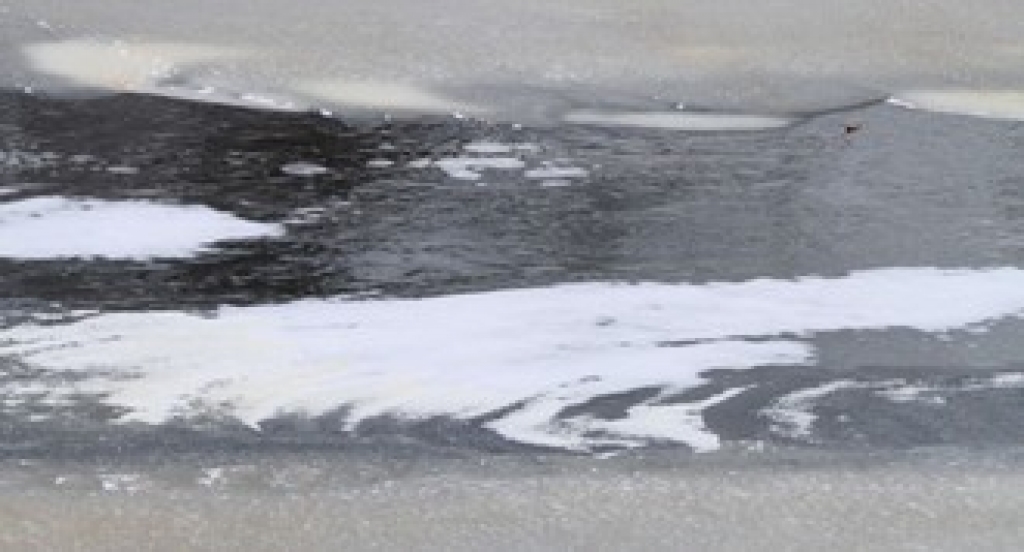 Fotoattēlam ilustratīva nozīme.
Autors: unity.lv