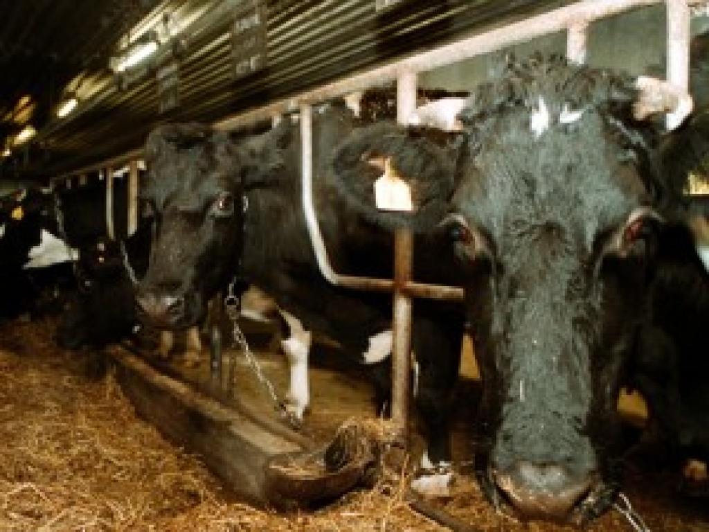 Fotoattēlam ilustratīva nozīme.
Autors: apollo.lv