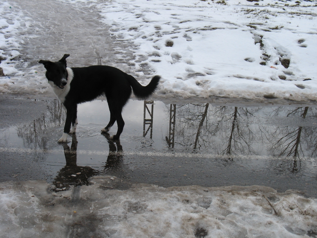 Fotoattēlam ilustratīva nozīme.