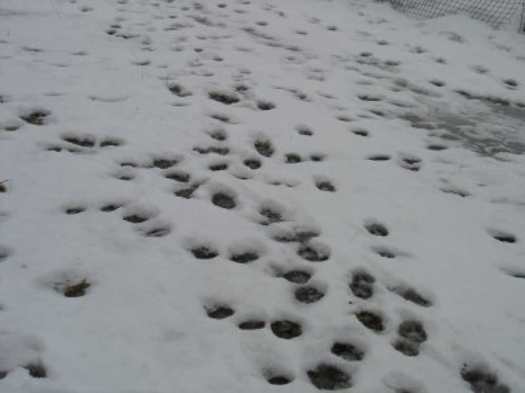 Fotoattēlam ilustratīva nozīme.