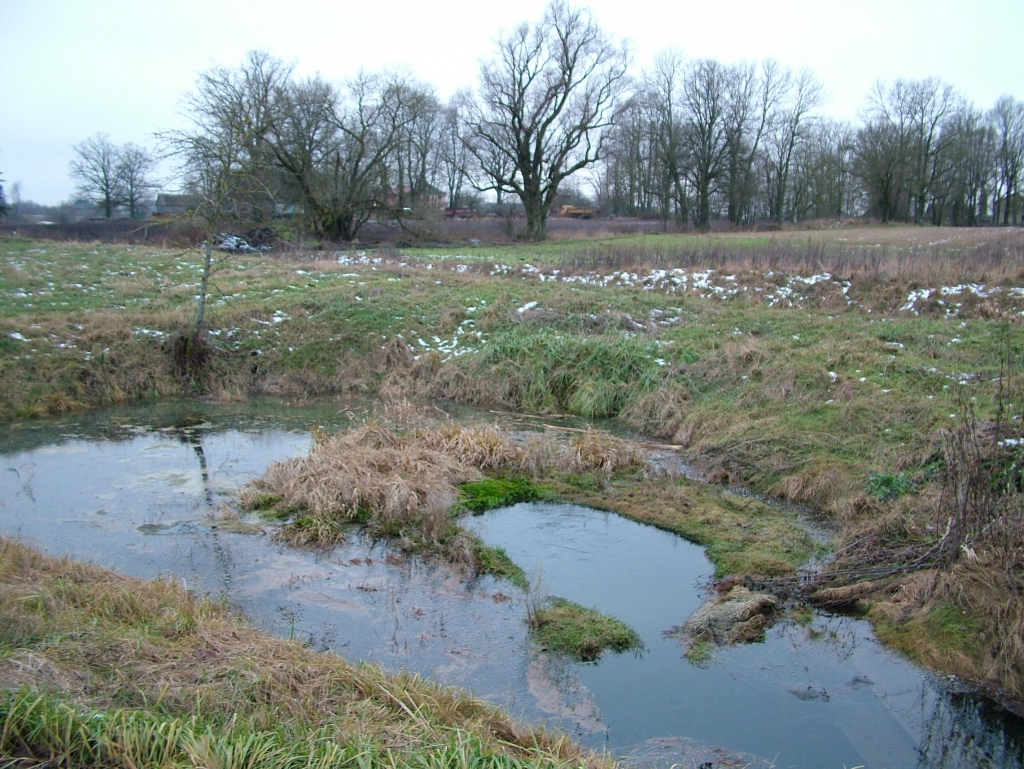 Kulšēnu sēravots 2007.gada rudenī. 
Autors: Andris Grīnbergs, petroglifi.lv