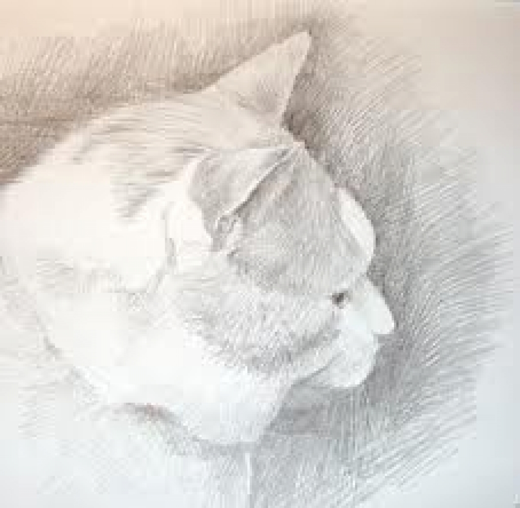 Fotoattēlam ilustratīva nozīme.