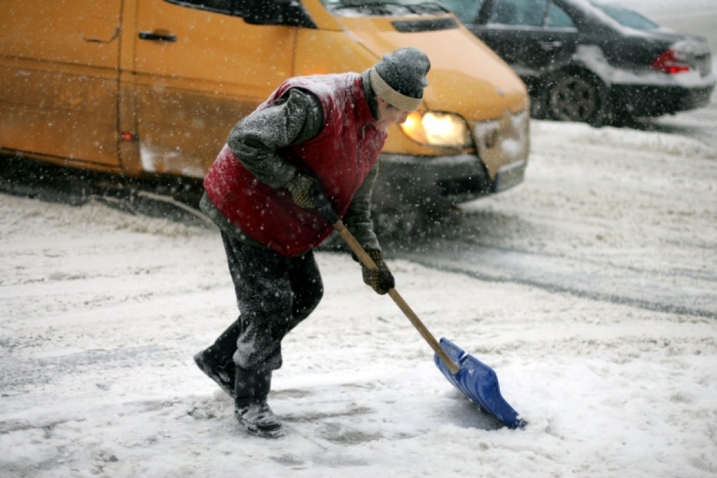 Autors: no www.apollo.lv