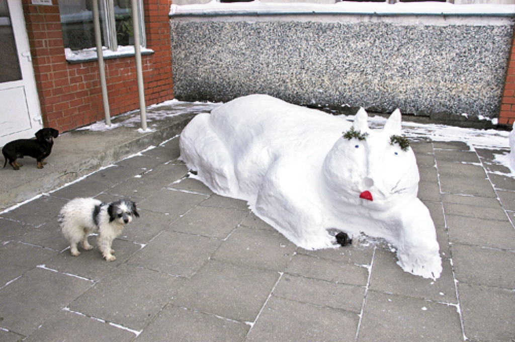 Sniega kaķis pie Viesturu kultūras centra.
Autors: Ivars Bogdanovs