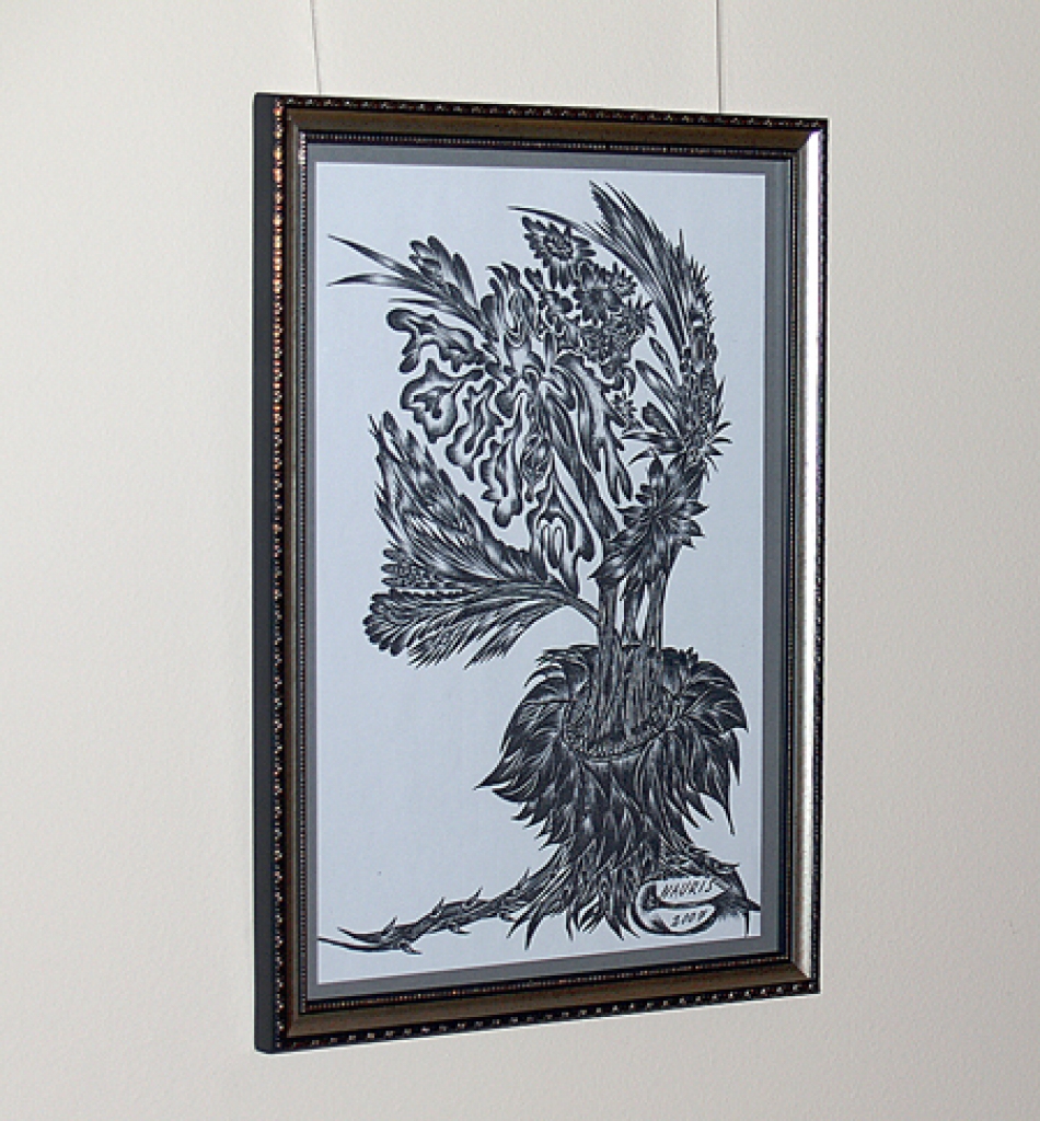 Naura Dubkēviča grafiskos zīmējumus melnos toņos inspirējušas ezoterikas studijas. 