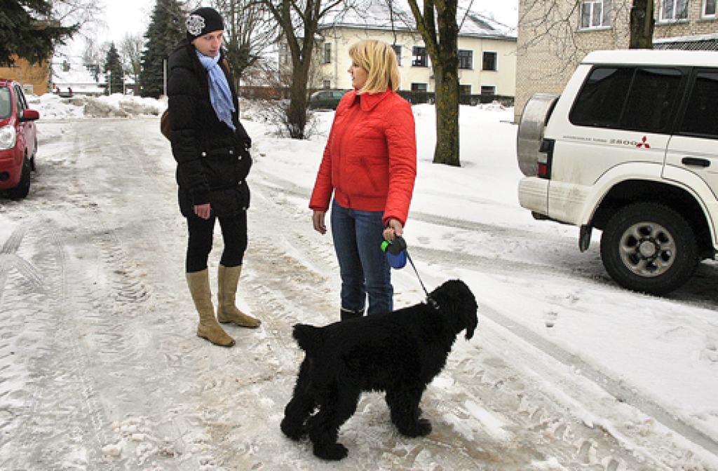 Rutas Hrolas kokerspaniels Bosis aizstāvēja savu ģimeni pret daudz spēcīgāku pretinieku. 