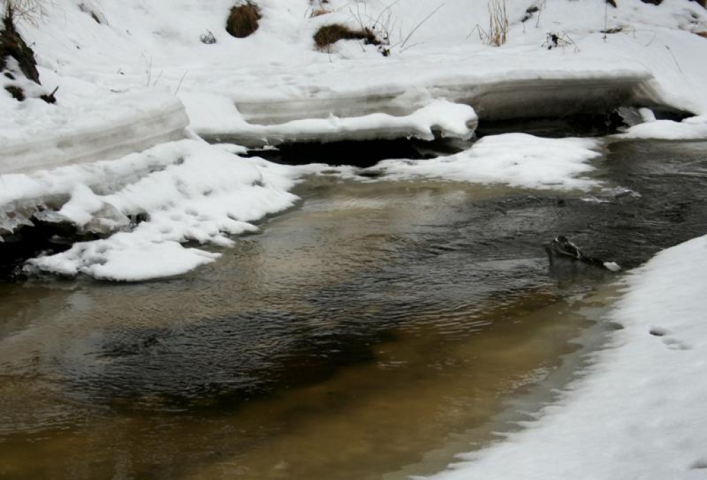 Fotoattēlam ilustratīva nozīme.