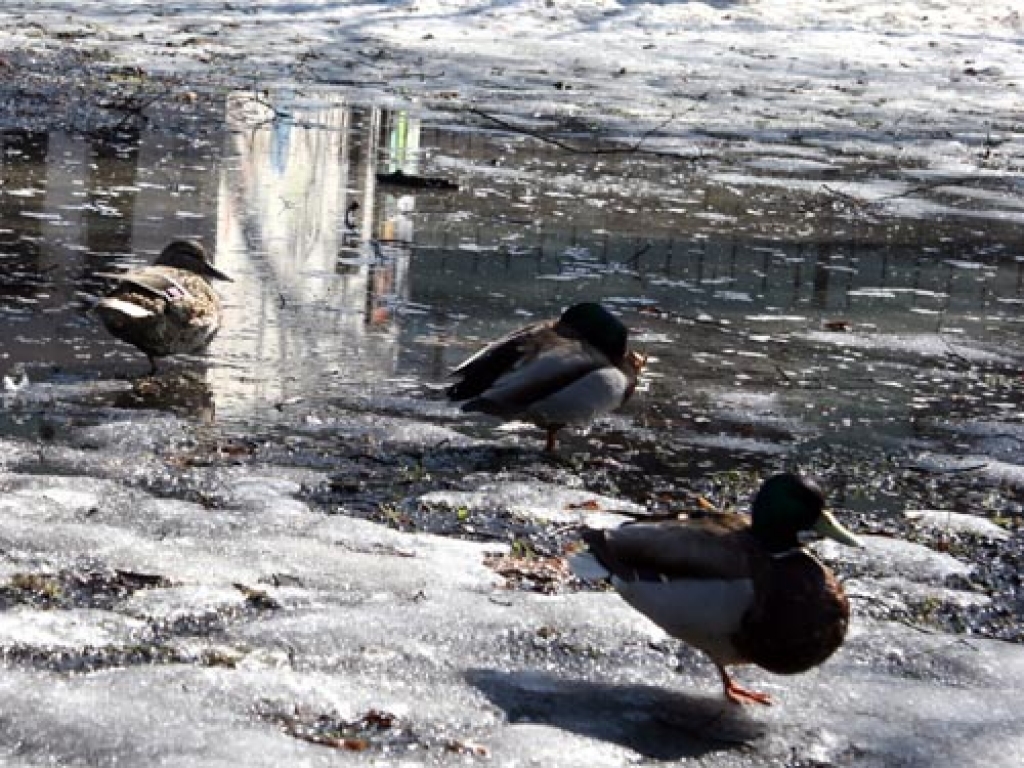 Fotoattēlam ilustratīva nozīme.
Autors: apollo.lv