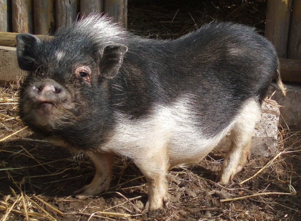 Fotoattēlam ilustratīva nozīme.