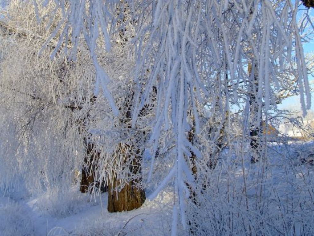Fotoattēlam ilustratīva nozīme.