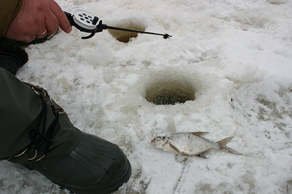 Fotoattēlam ilustratīva nozīme.