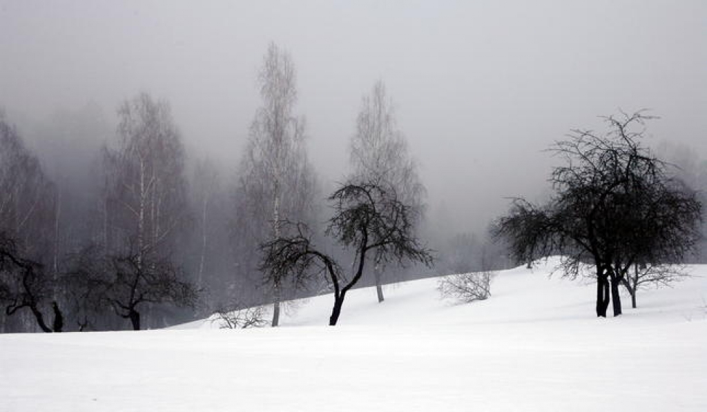 Fotoattēlam ilustratīva nozīme.
Autors: ir.lv, Lauris Vīksne, f64 