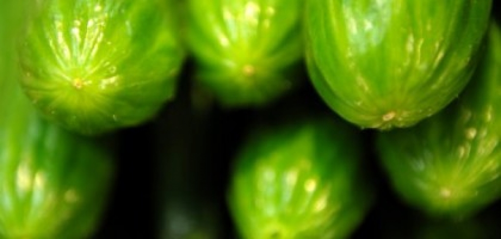 Fotoattēlam ilustratīva nozīme.
Autors: apollo.lv