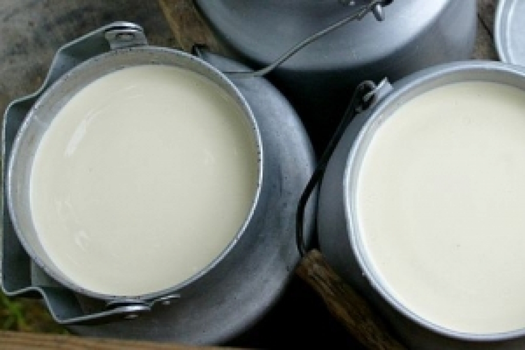 Fotoattēlam ilustratīva nozīme.