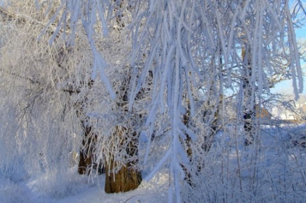 Autors: no «Bauskas Dzīves» arhīva.